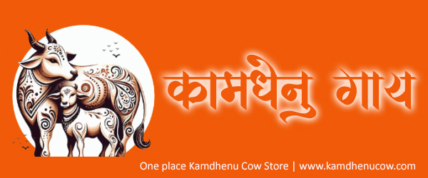 www.kamdhenucow.com